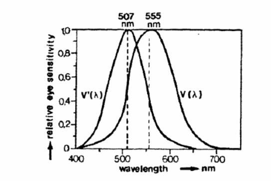 明视觉与暗视觉的光谱光视效率曲线