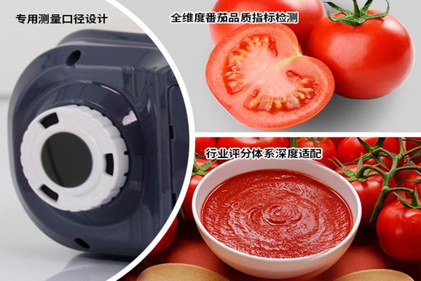 番茄及番茄制品颜色管控就选YS4582大口径番茄色度仪